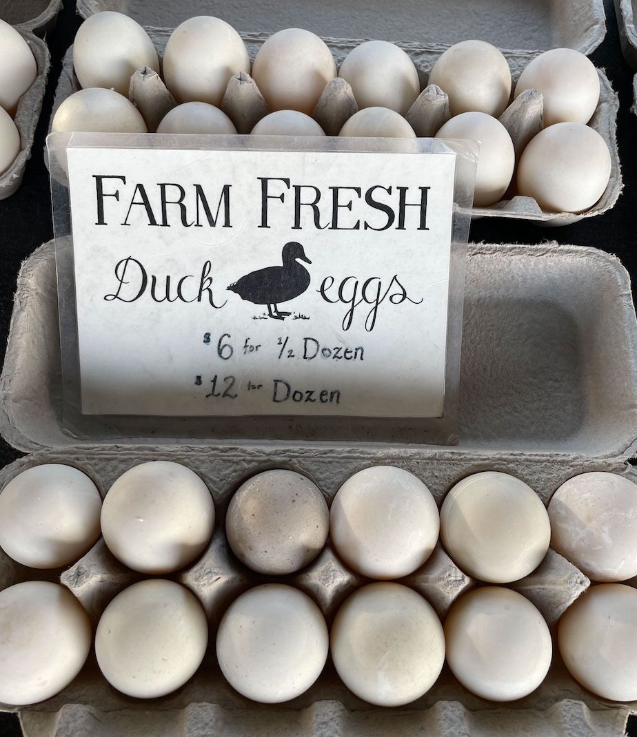 Duck Eggs 