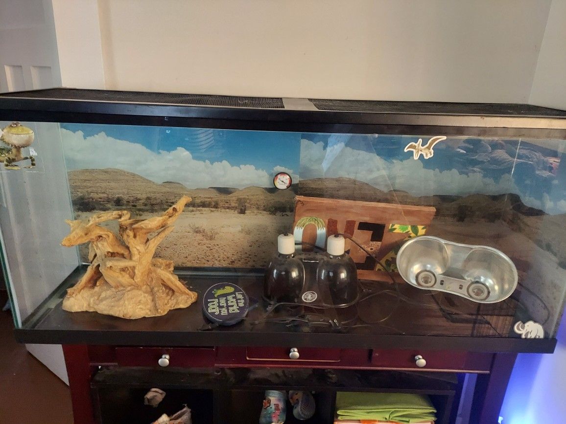 55 Gallon Tank