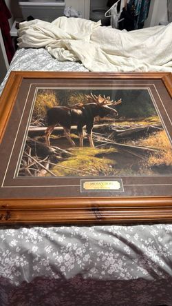 Mossy Bog art by Greg Beecham
