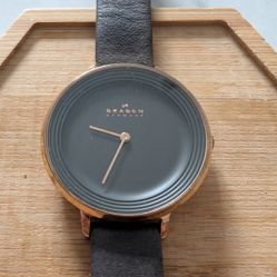 Skagen Ditte SKW2216 Women's Gray Leather Analog Dial Quartz Wrist Watch JNATO00