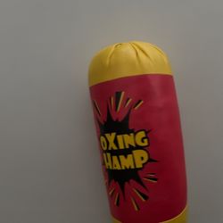 Boxing Champ- Kids Punching Bag 