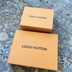 Two Large Louis Vuitton Storage Boxes 