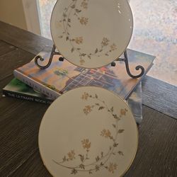 Set of 2 vintage Noritake “Andrea” (5524) bread / side plates