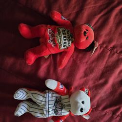 Little All Star Bears 🐻 🐻‍❄ 