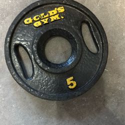 Golds Gym 5 Lb Weight