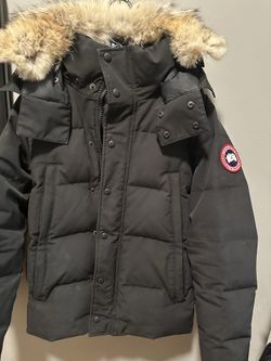 Small Canada goose trade for Amiri