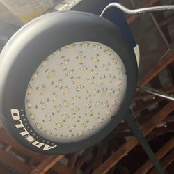 Apollo Horticulture GL60LED Full Spectrum 180W LED Grow Light for Plant Growing