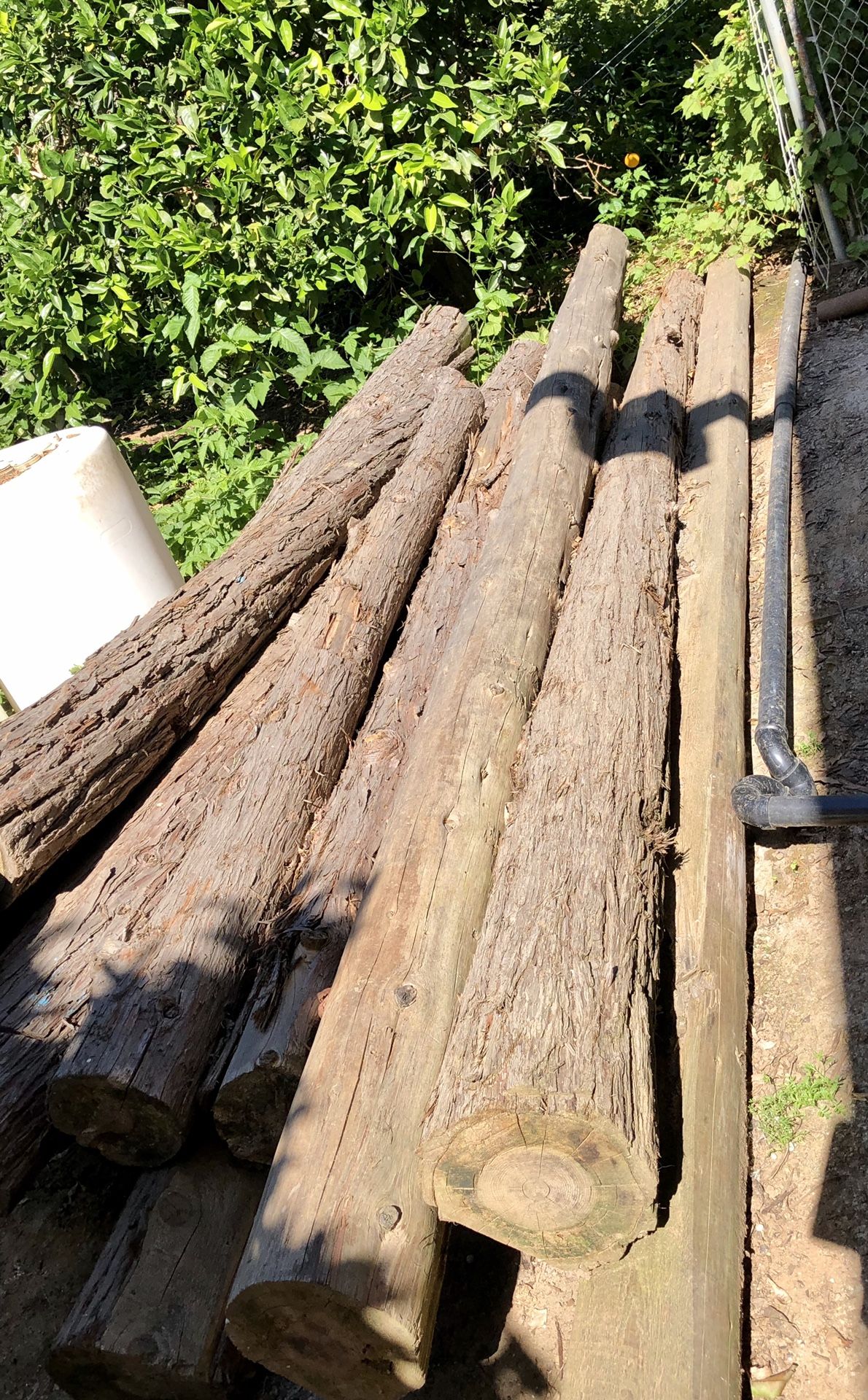 Cedar poles