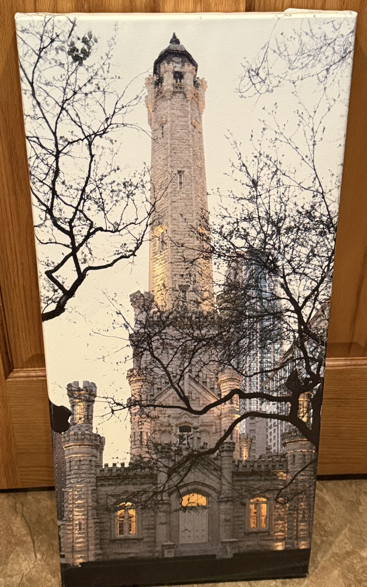 D’Anne Gastorf Weber Chicago Water Tower 30 X 14 Canvas Wall Art