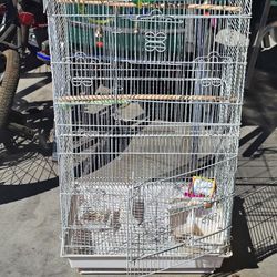Bird Cage
