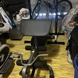 Weight Bench 