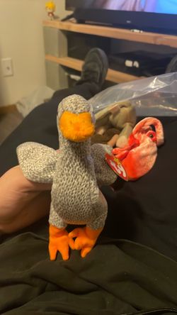 Duck beanie baby