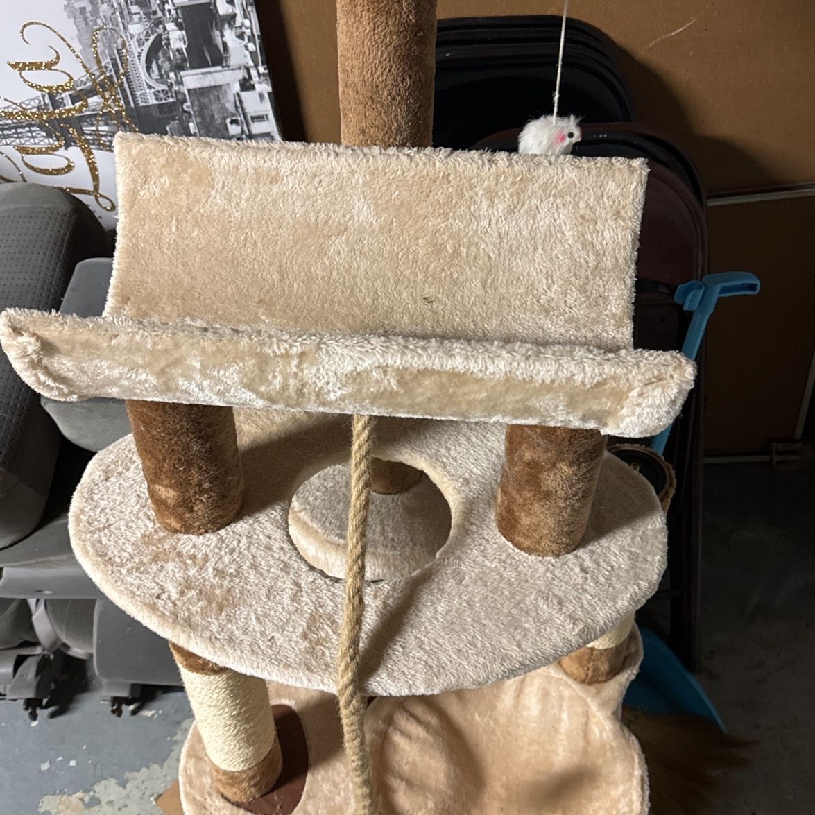 Cat stand toy