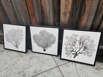 Frames