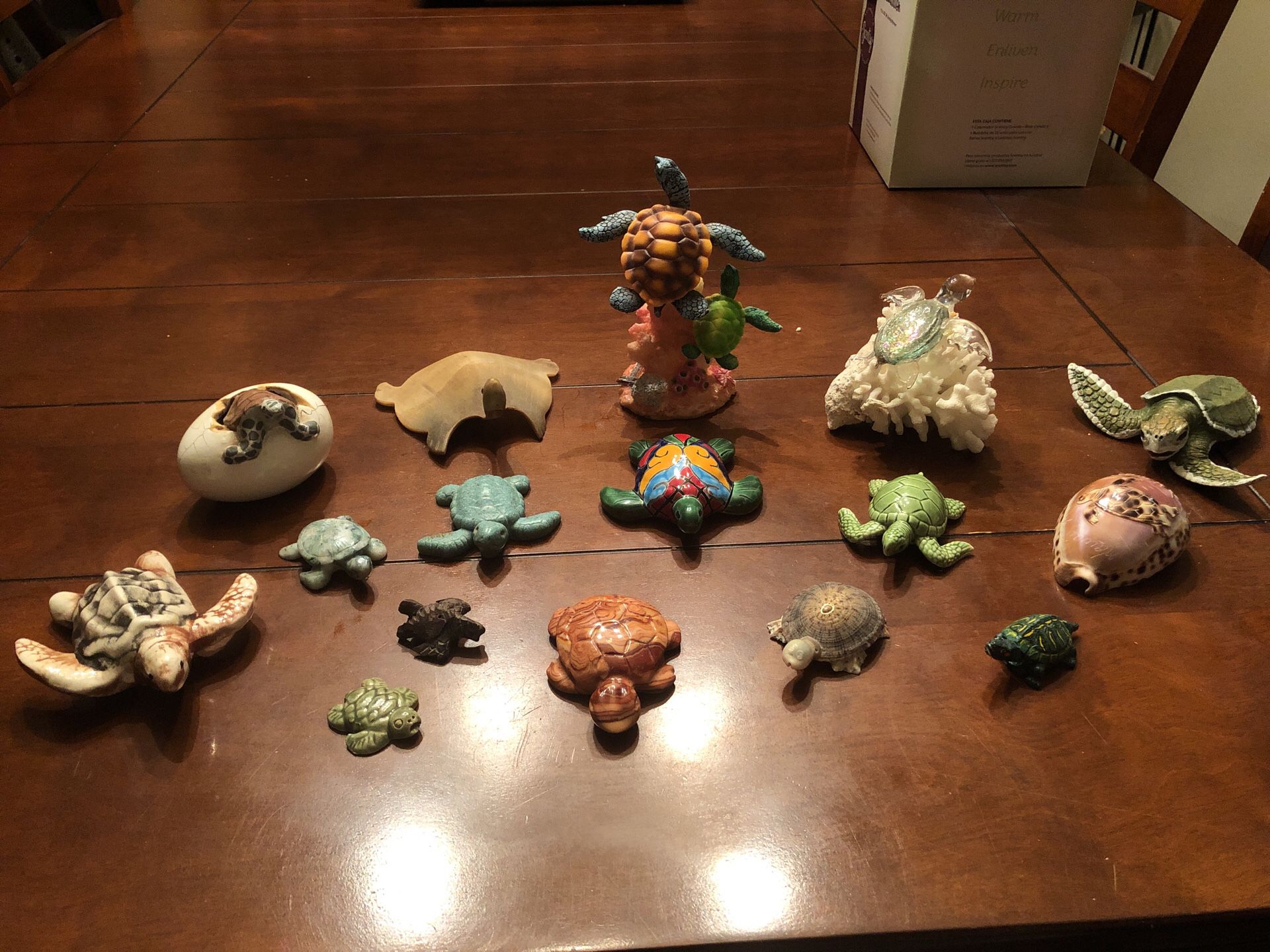 Turtle Collection