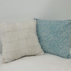 Two Square Throw Pillows 