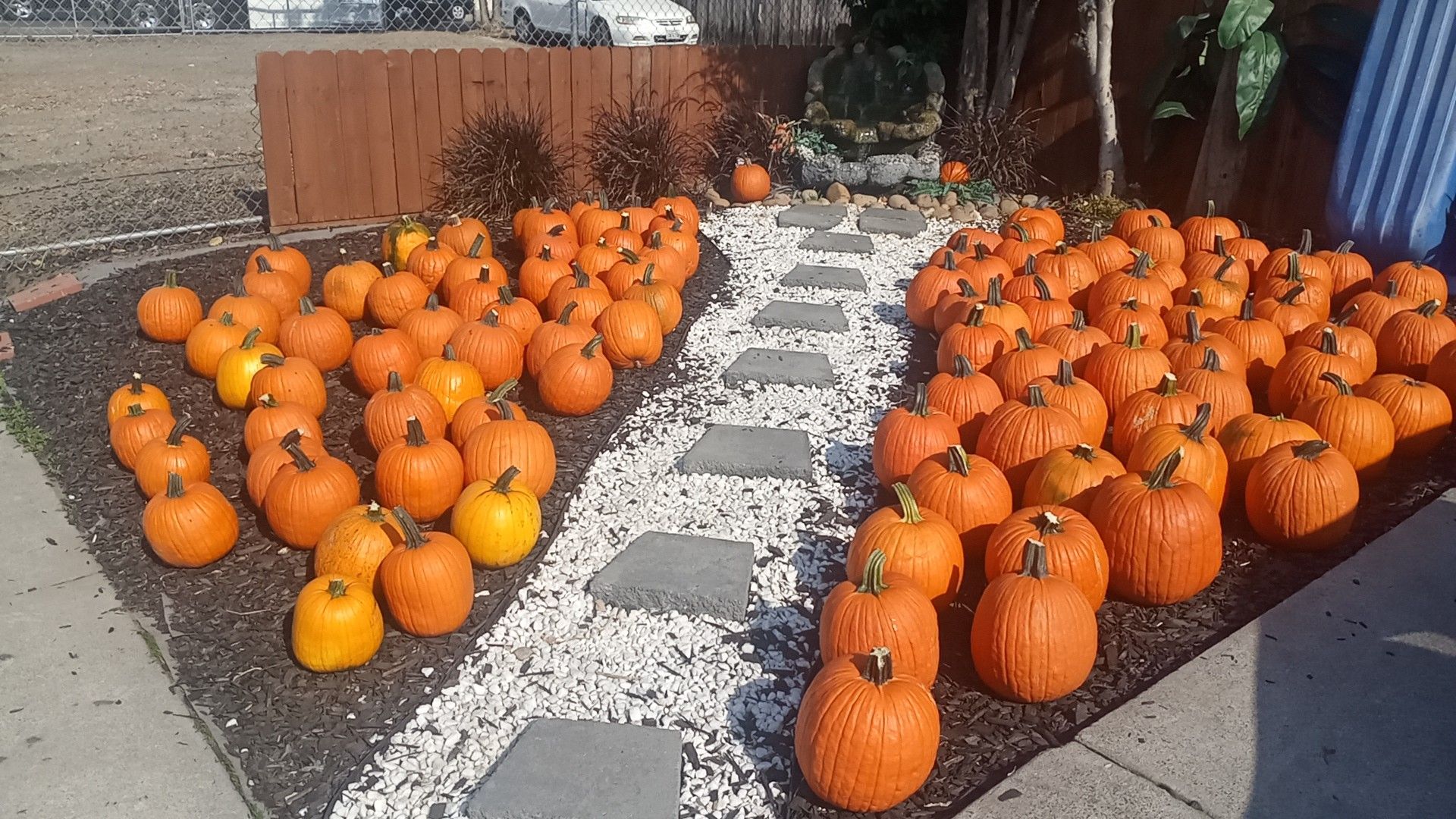 Nice size pumpkins small 2 and large 3