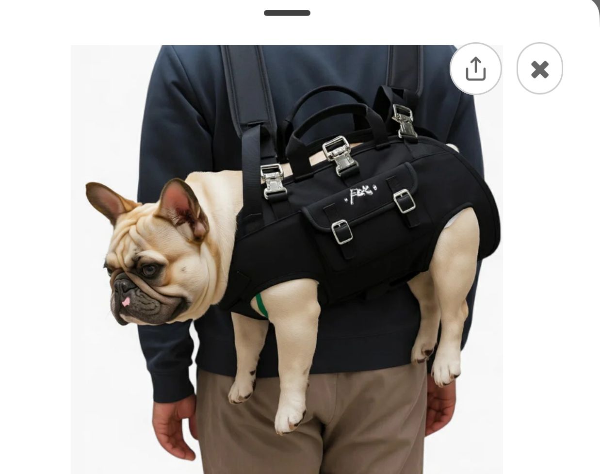 Dog Back Pack Carrier