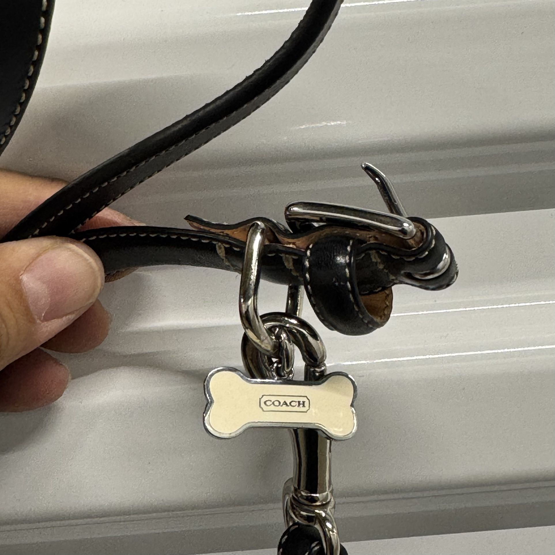 Coach Dog Collar/Leash 