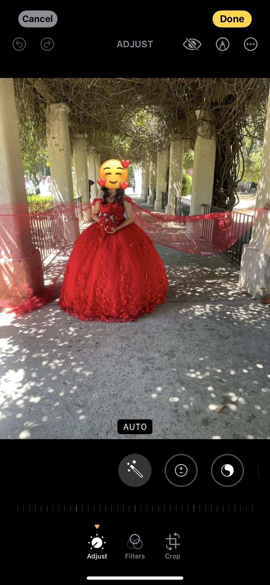 Quinceanera Dress 