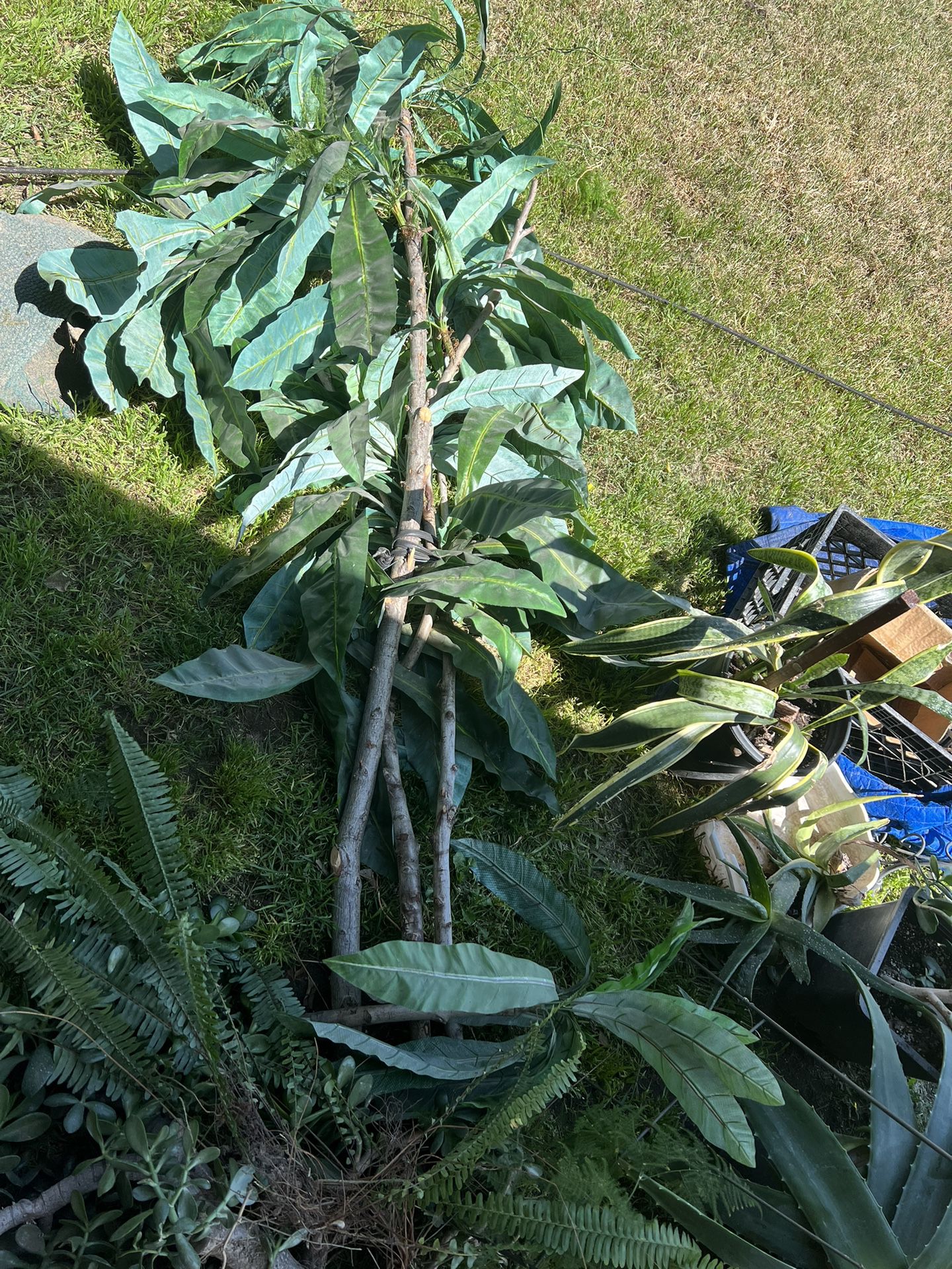 Tall, Fake Plant