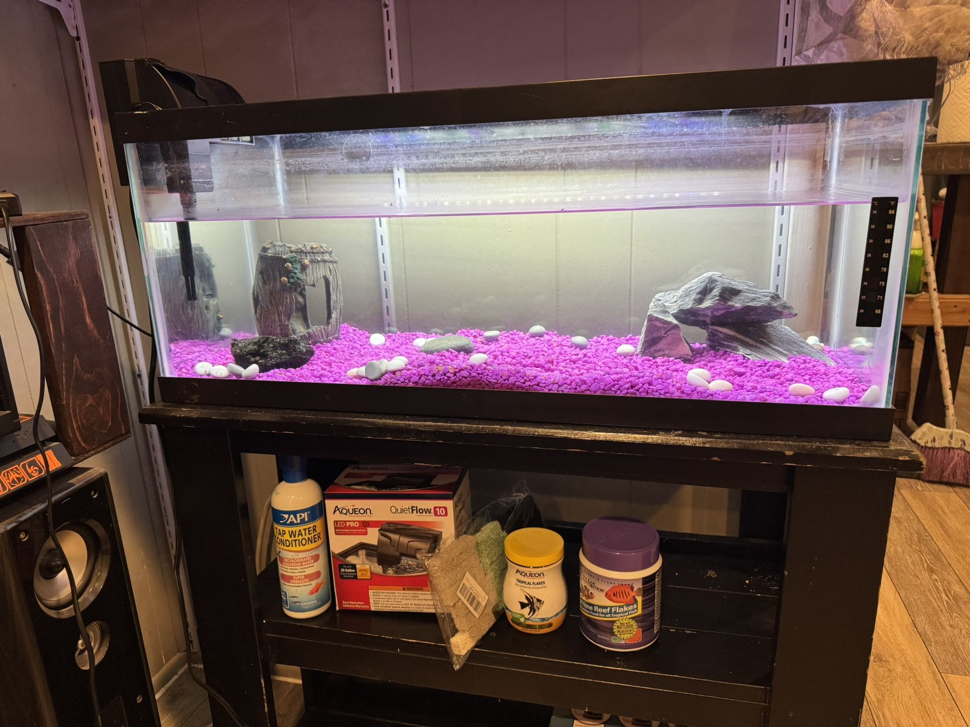 Fish Tank