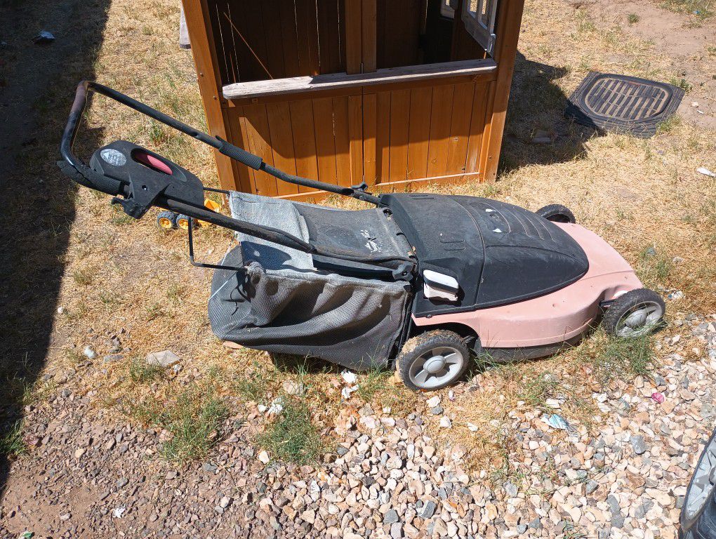 Electric Lawn Mower And Weed eater 