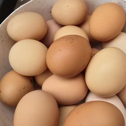 eggs fresh organic 