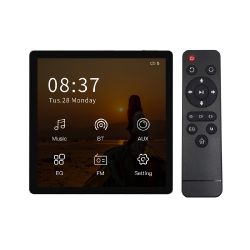 Wall Audio Amplifier 