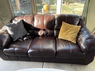 Free Couch