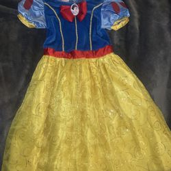 Disney Princess Costume $25