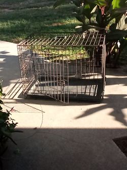 Wire Dog Crate with Tray