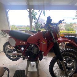 81 CR 250 HONDA
