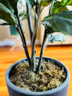 Faux Plant