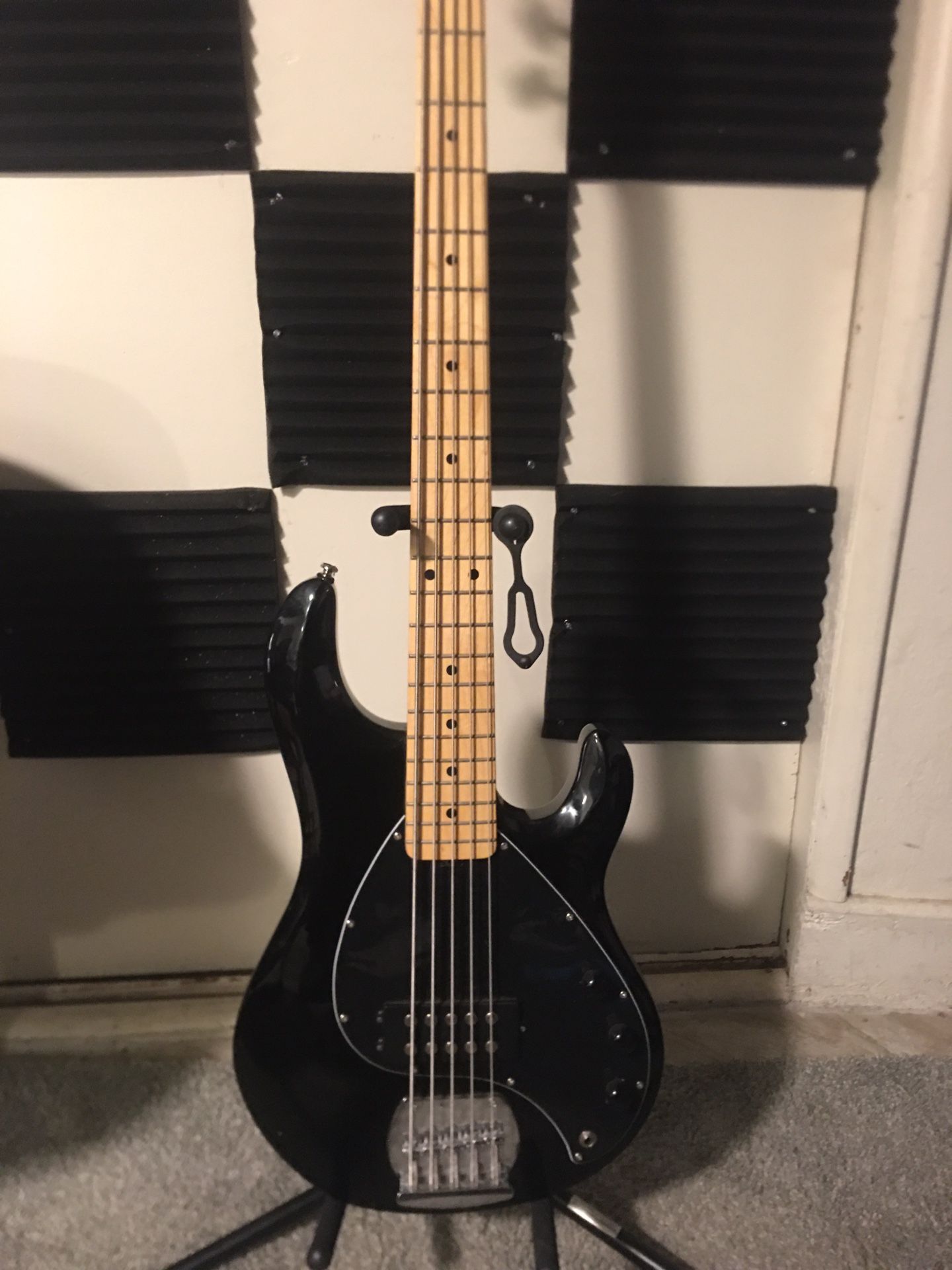 Sterling By Music Man Stingray 5 String Bass