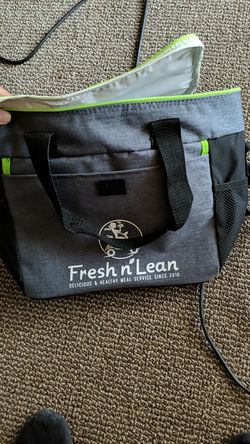 Ice cooler bag