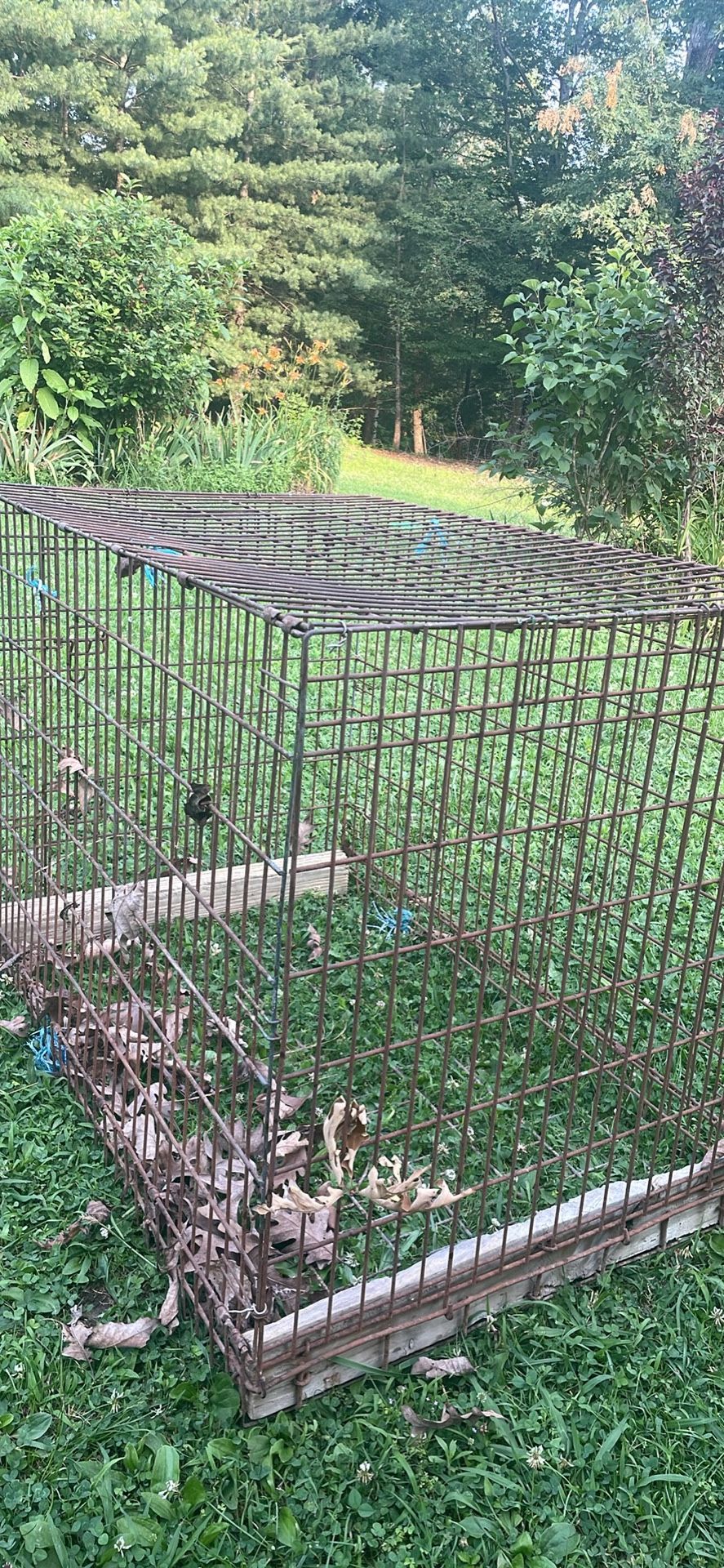 Big dog crate