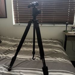 Dolica tripod