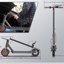 Adult Scooter 