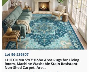 Rug living room