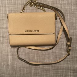 Michael Kors Purse/Clutch