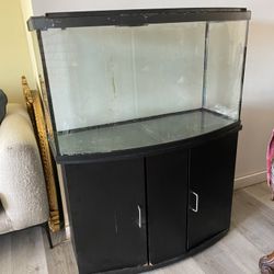 Beautiful 40 Gallon Show Case Tank /Aquarium