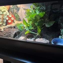 Eco Flex Reptile Enclosure