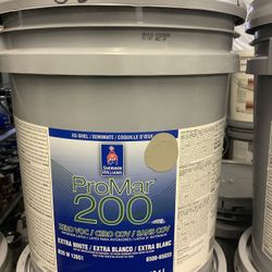 Interior Paint (Stonehenge Greige)