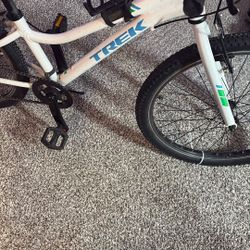 Trek bike