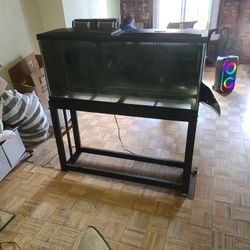 55 Gal Fish Tank With Stand 