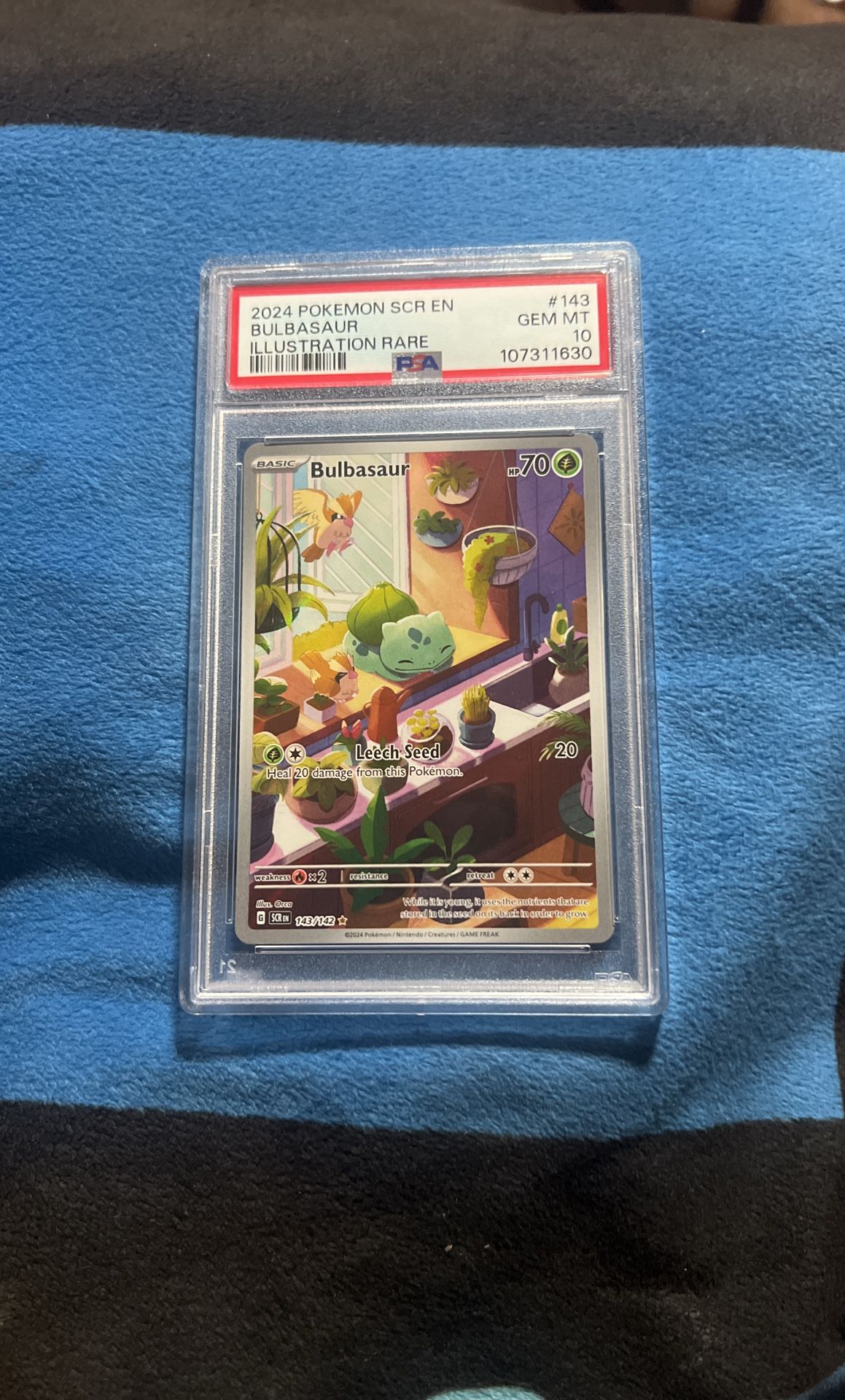 Pokémon
