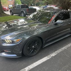 2016 Ford Mustang 3.7 $14500
