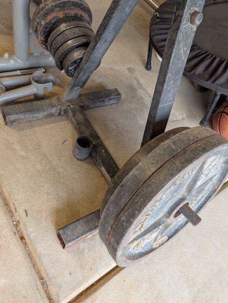 Bench, rack, Olympic Bar, Weight Plates