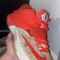 Kds Sz 11